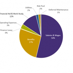 pie chart of sfsu budget